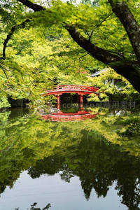 绿意盎然的红桥倒影如画