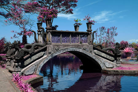 龙雕石桥映衬紫花盛景