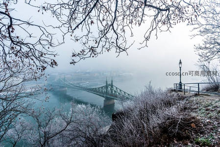 雾锁自由桥：冬日河畔的静谧诗篇