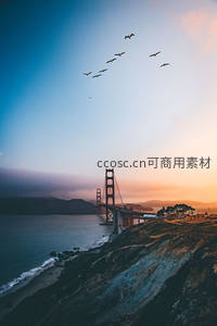金门大桥日落时分，群鸟飞越天际线