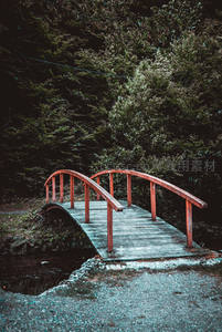 林间小木桥静卧，红栏青苔显幽深