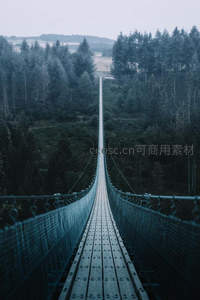 空无一人的森林吊桥延伸至远方