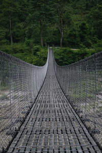 森林深处的金属网格悬索桥