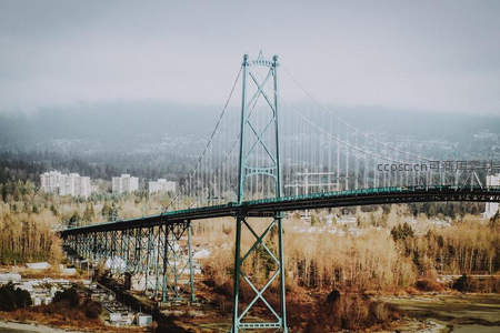 雾霭中雄伟的悬索桥横跨山谷与森林