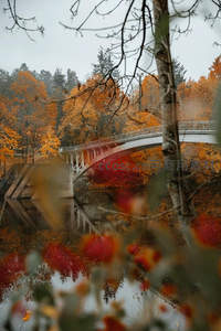 秋日枫林掩映下的拱桥与水镜倒影