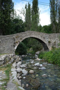 石拱桥下的清澈溪流与绿荫