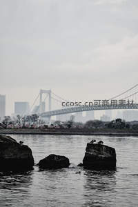 彩虹桥前的静谧河岸与飞鸟