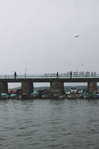 阴天码头桥上行人漫步，海鸥飞翔