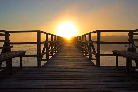 木栈道尽头日出穿透薄雾