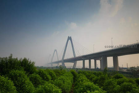 晨雾中现代斜拉桥横跨绿野