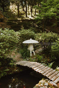 日式庭院石灯竹桥，绿意盎然禅意幽深