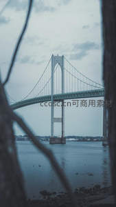 透过树枝凝望的悬索桥剪影