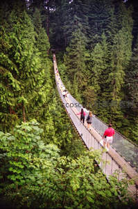 游客漫步于森林中的悬索桥，绿意盎然的秘境之旅