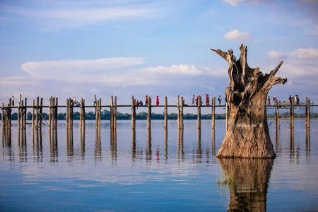 湖面上的古老木桥与枯树，倒影如画，游人如织