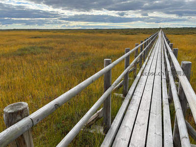 木栈道穿越金黄湿地，延伸至天边的宁静之路
