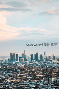 洛杉矶城市全景，高楼与住宅区交相辉映