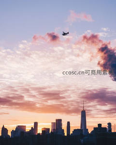 飞机掠过粉紫云霞，自由女神像剪影入画来