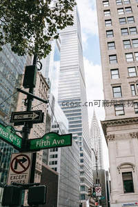 纽约第五大道街景与摩天楼群