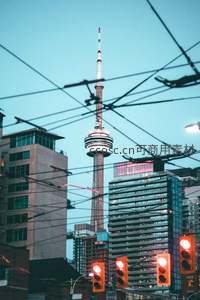 多伦多电视塔与城市电车线交织的黄昏景象