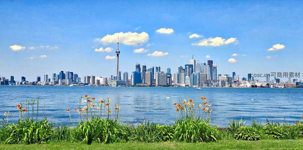 湖畔花丛远眺多伦多天际线