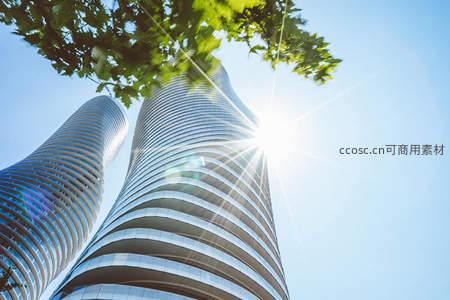 阳光穿透绿叶映照流线型高楼