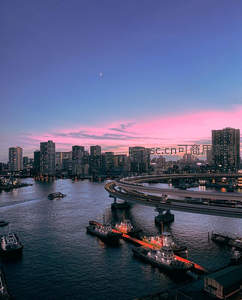 暮色港湾中桥梁与灯火交相辉映