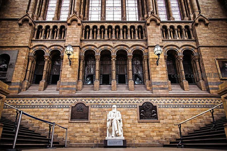 宏伟建筑内庄严的名人雕像与彩窗