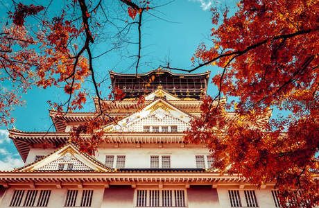 秋日古堡：红叶映衬下的日本城堡