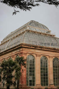 玻璃温室穹顶与棕榈树构成复古植物园景致