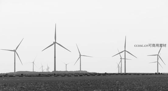 黑白田野中成排的现代风力涡轮机
