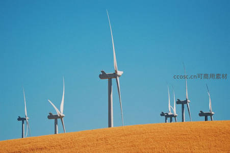 金色麦田上的现代风力发电机阵列