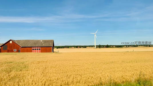 金黄麦田旁的红色农舍与风力发电机