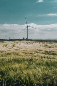 麦田中的风力发电机矗立蓝天之下