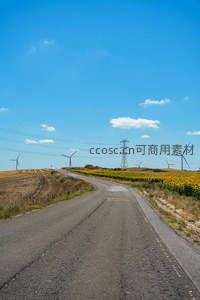 乡间公路蜿蜒，向日葵田与风车相伴