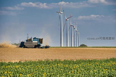 联合收割机作业与风力发电场同框