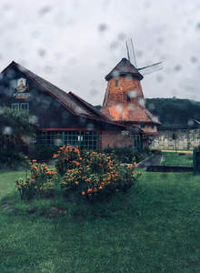 雨中古朴风车与花丛的静谧时光