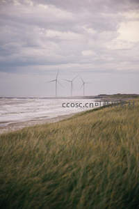 海边沙丘上的风车，海浪与风电的协奏曲
