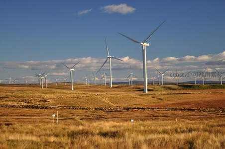 草原上的风力发电机组群
