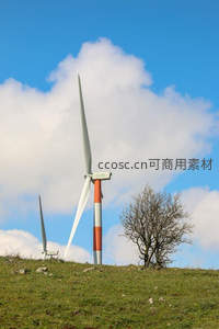 草坡孤树旁的红白风车