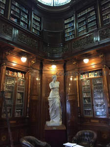 古典图书馆内维纳斯雕像