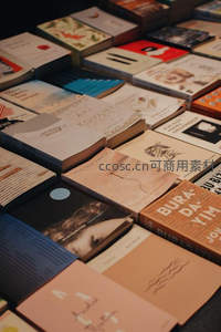 书海中的静谧角落，封面艺术与知识的邂逅