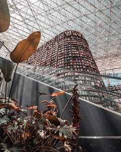 现代建筑与绿植交织的室内空间