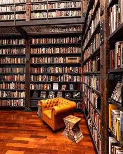 皮质沙发静置于巨型书库中央