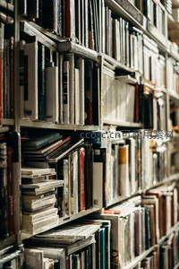 阳光洒落书架间营造温暖阅读氛围