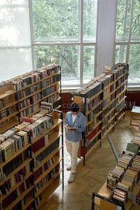 阳光洒落图书馆，读者沉浸书海之中