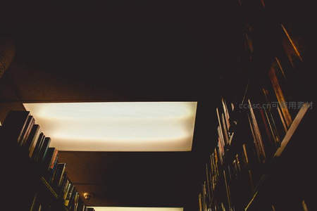 仰望书架缝隙，顶灯穿透幽暗空间