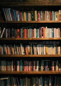 木质书架满载知识，温暖灯光下的阅读角落