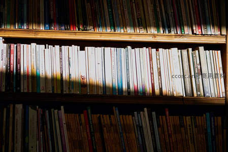 阳光穿透书页缝隙，木质书架上的光影诗篇