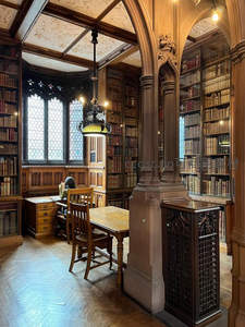 古典图书馆内，雕花拱顶下静读时光