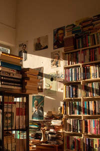 阳光洒落杂乱书房，书香与光影交织